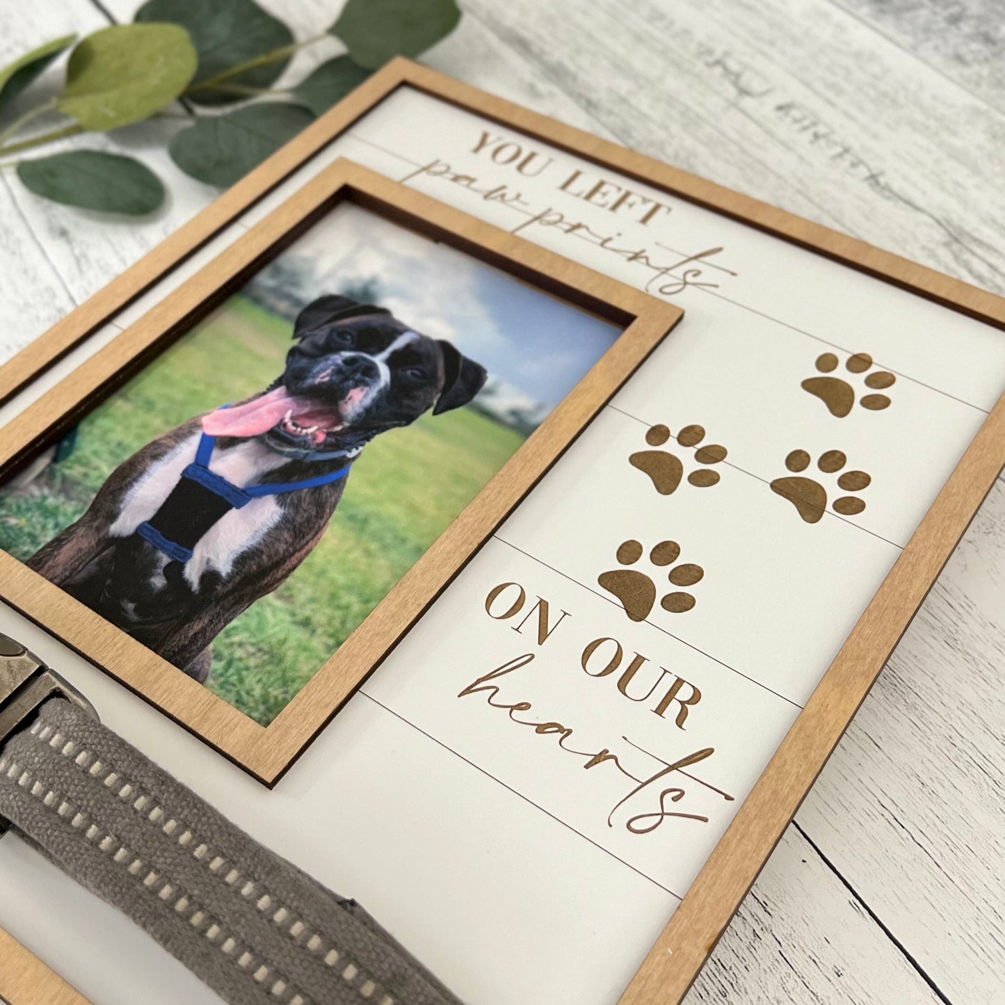 Pet Memorial Photo Frame With Collar Holder