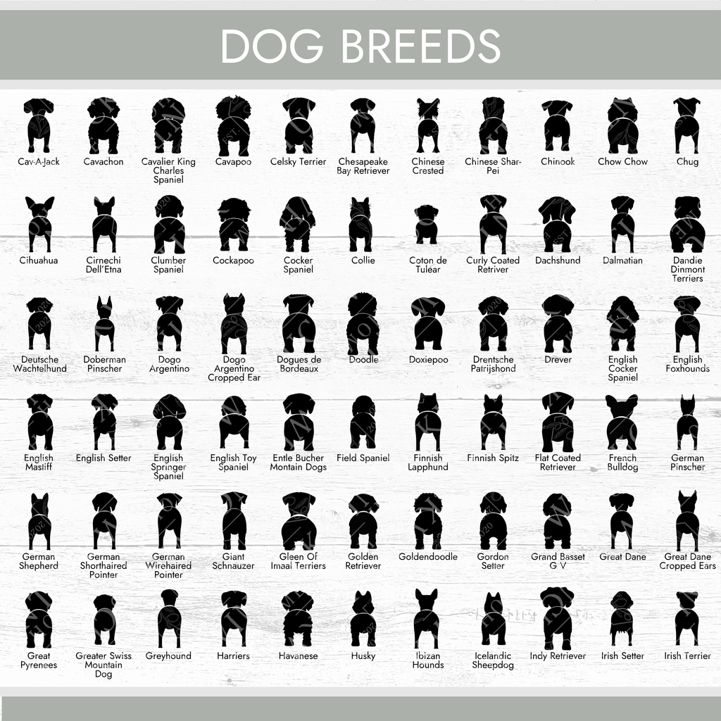 Personalized Dog Butt Sign