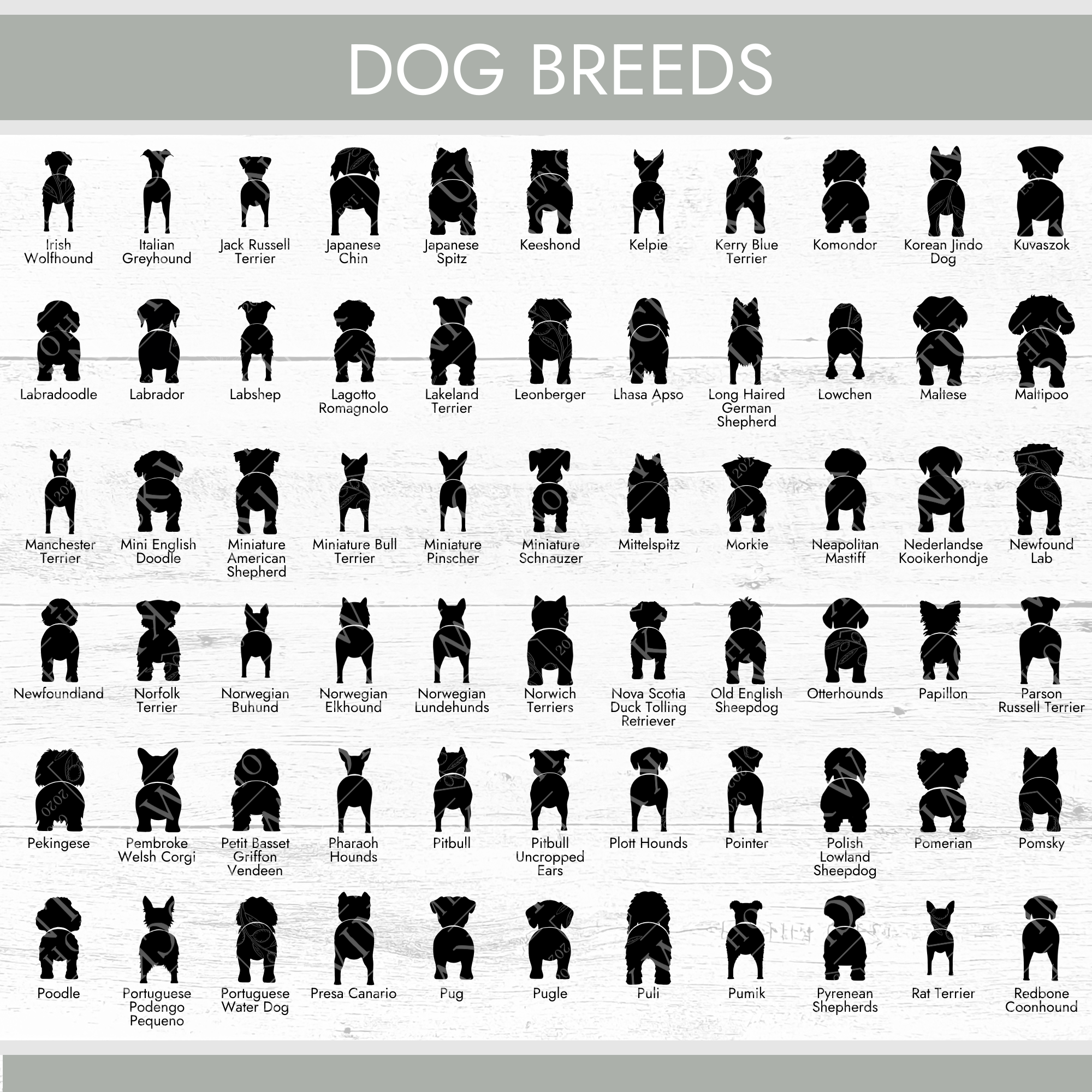 Personalized Dog Butt Sign