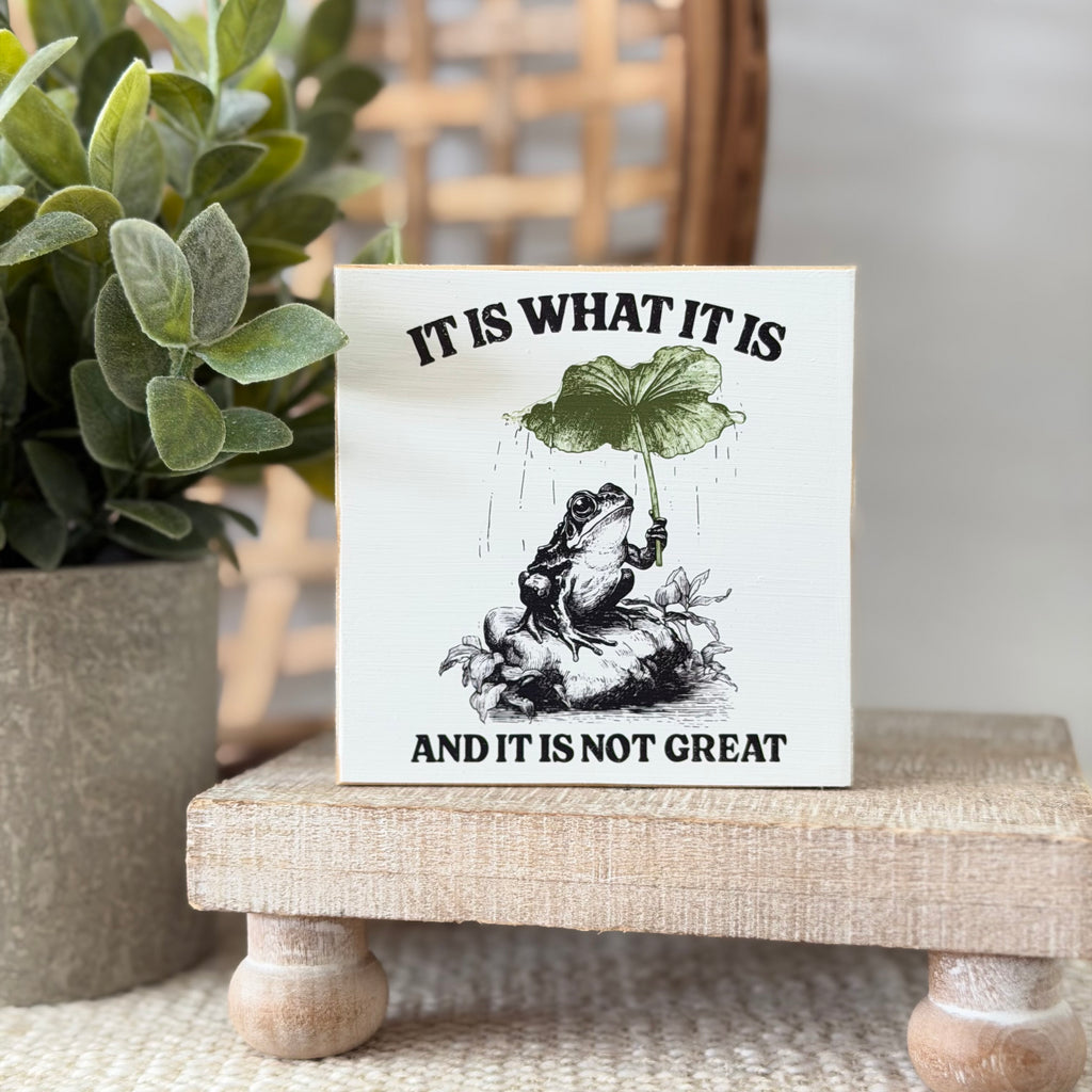 Funny Frog Wood Block Sign