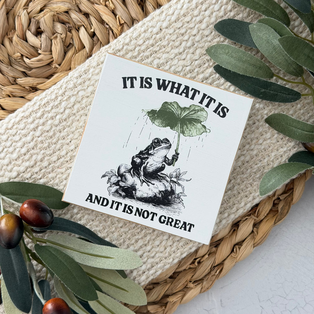 Funny Frog Wood Block Sign