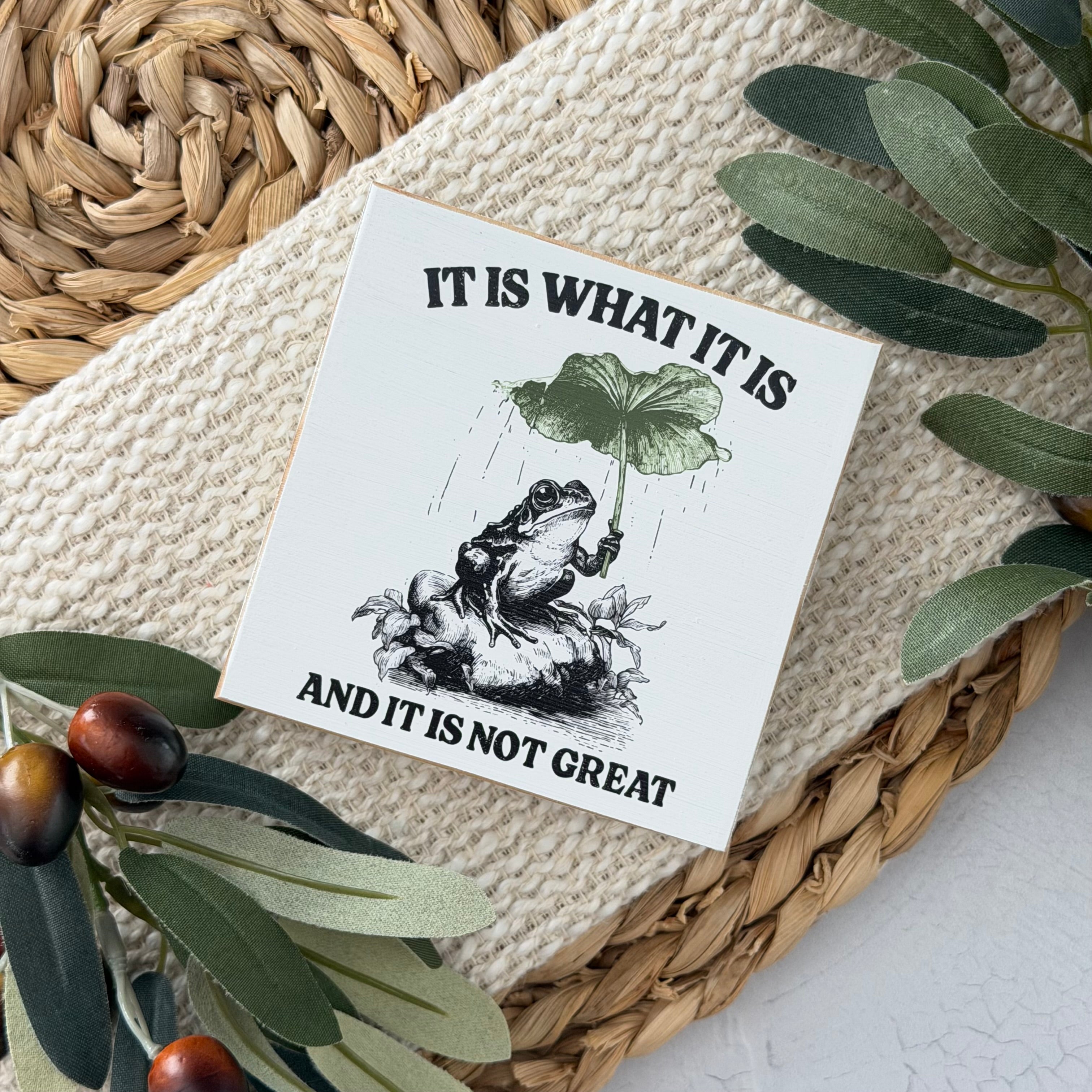 Funny Frog Wood Block Sign