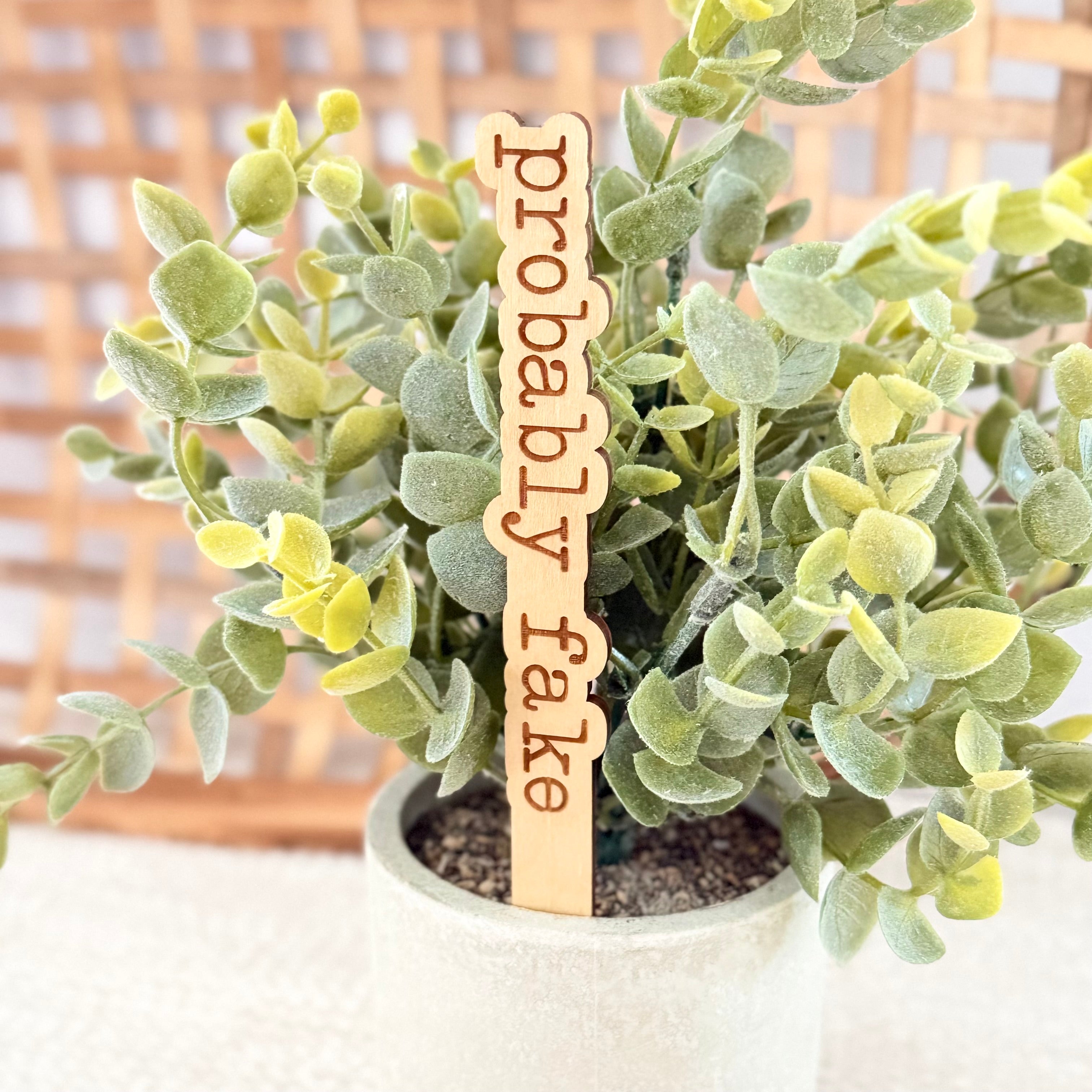 Funny Plant Stakes