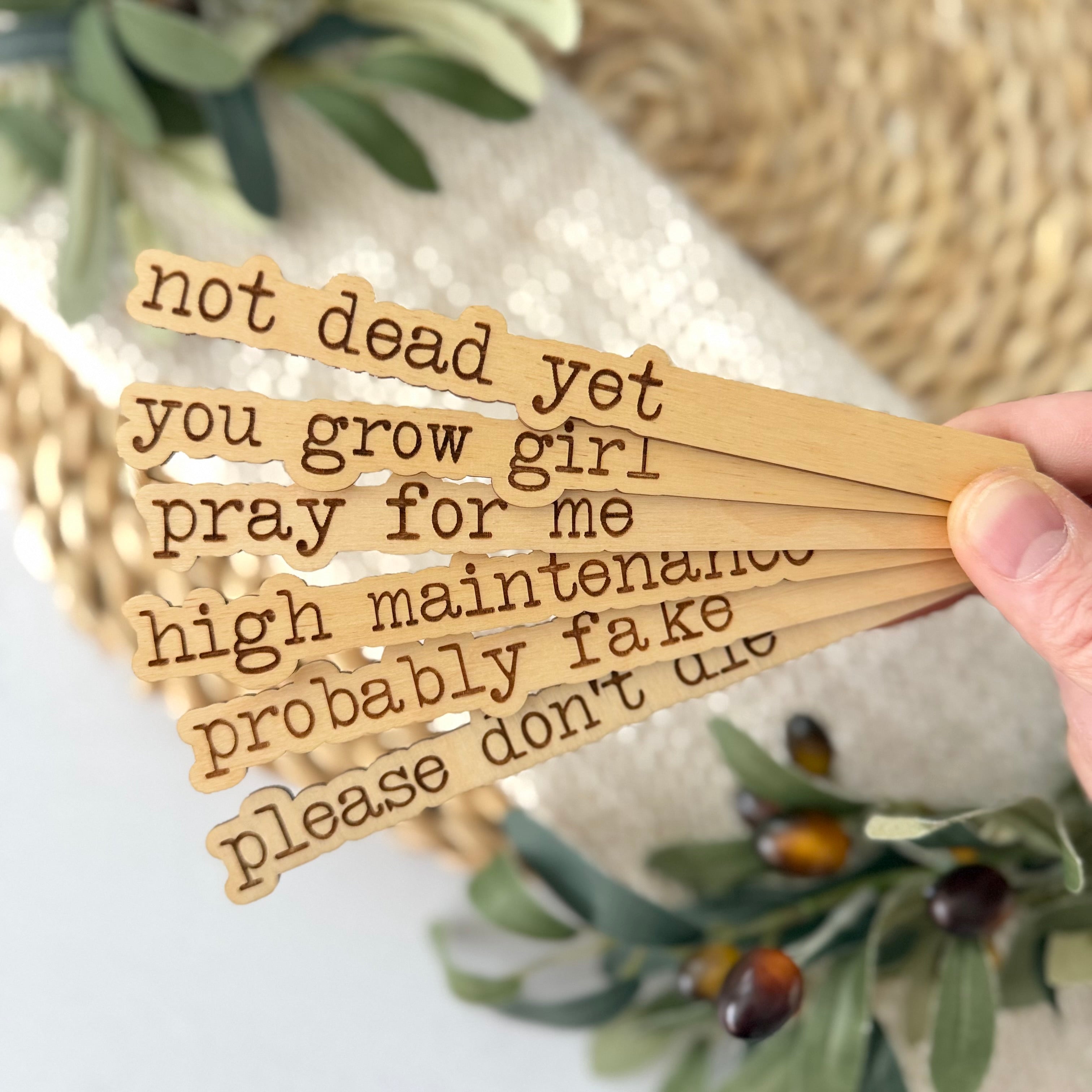 Funny Plant Stakes