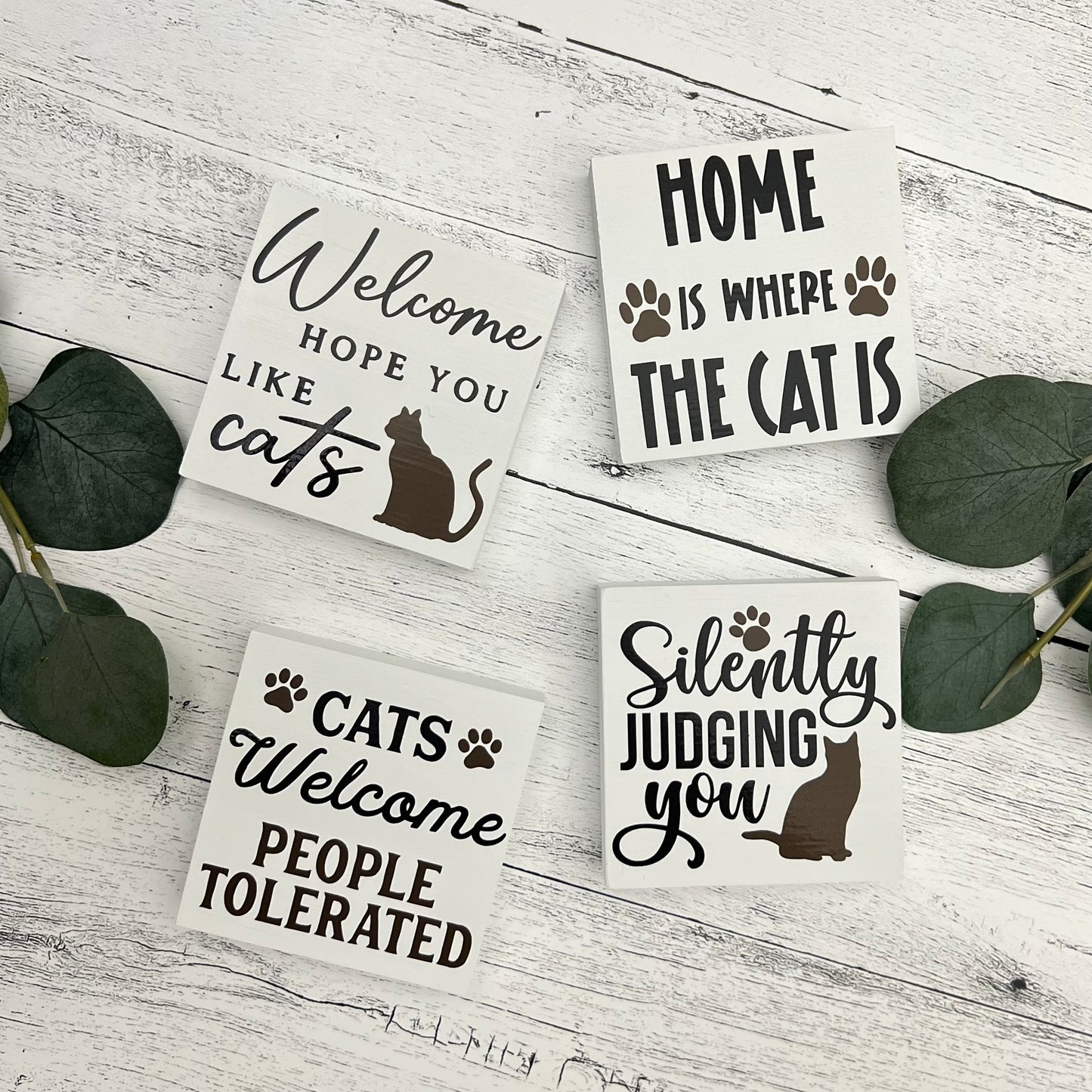 Cat Themed Signs
