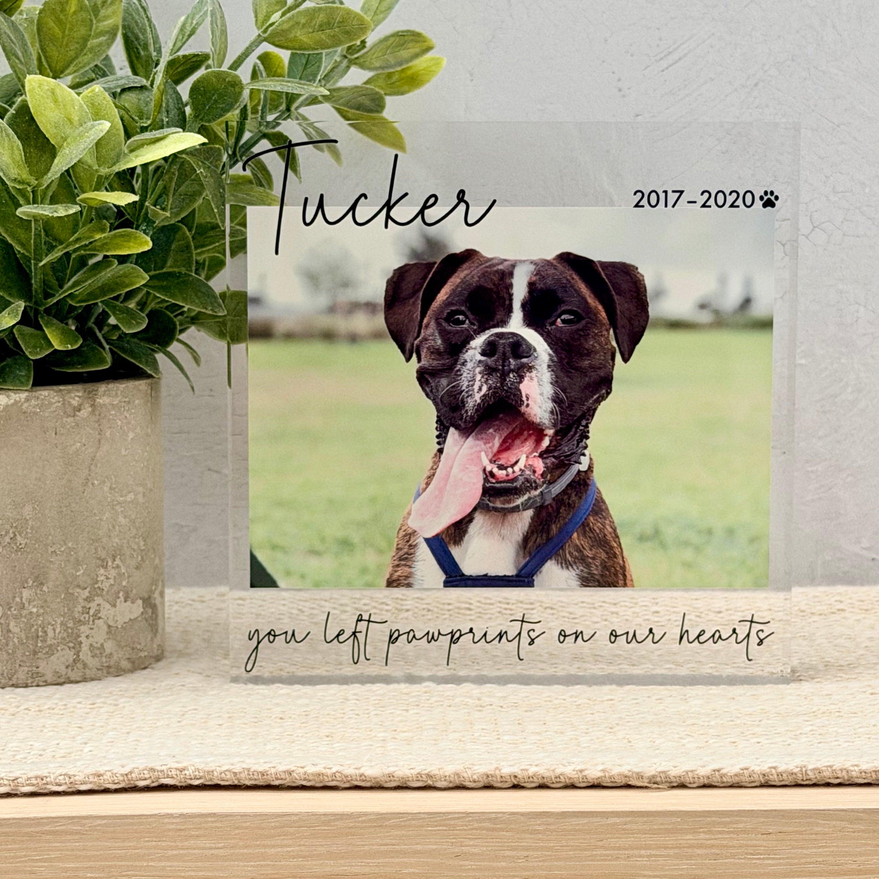 Pet Memorial Acrylic Photo Block