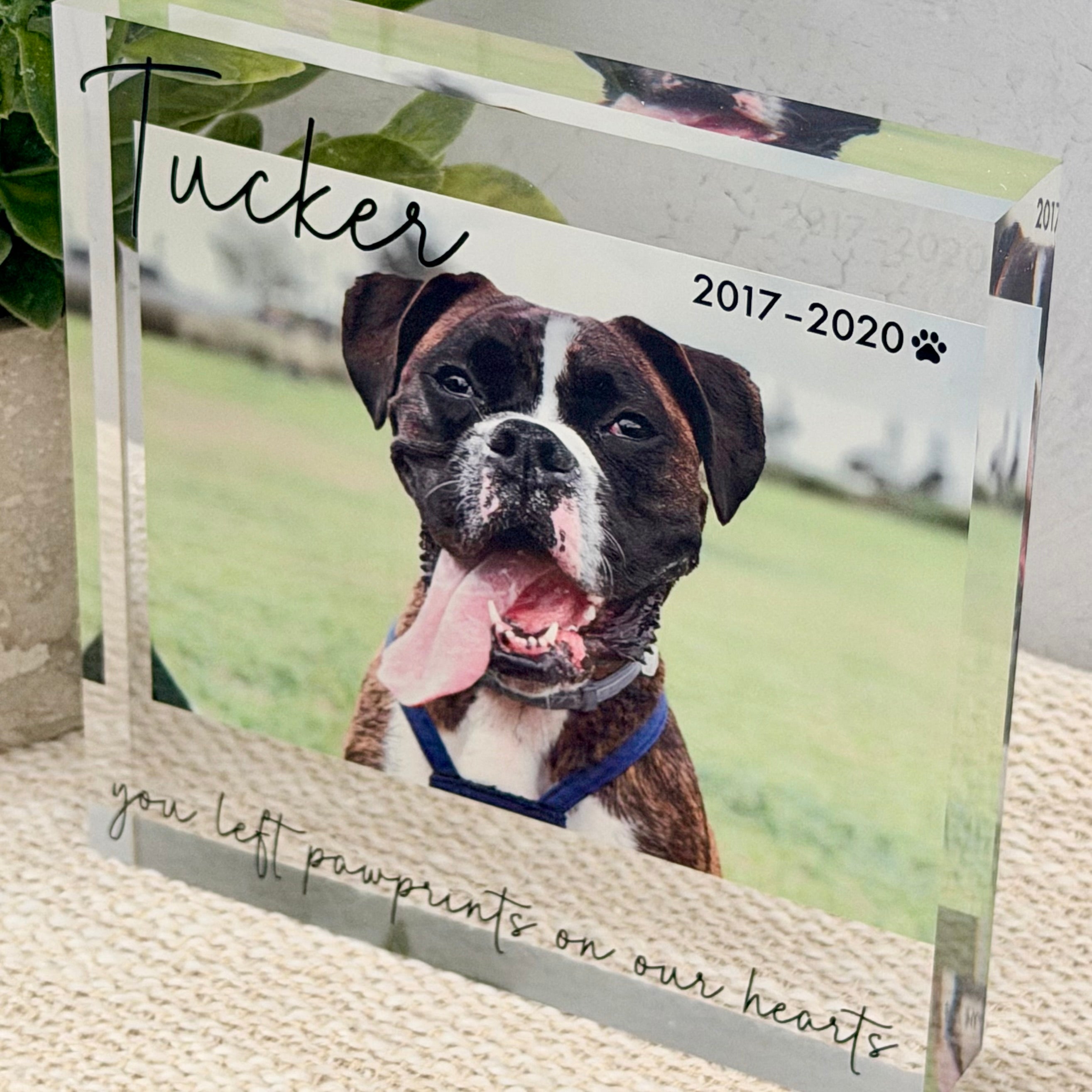 Pet Memorial Acrylic Photo Block