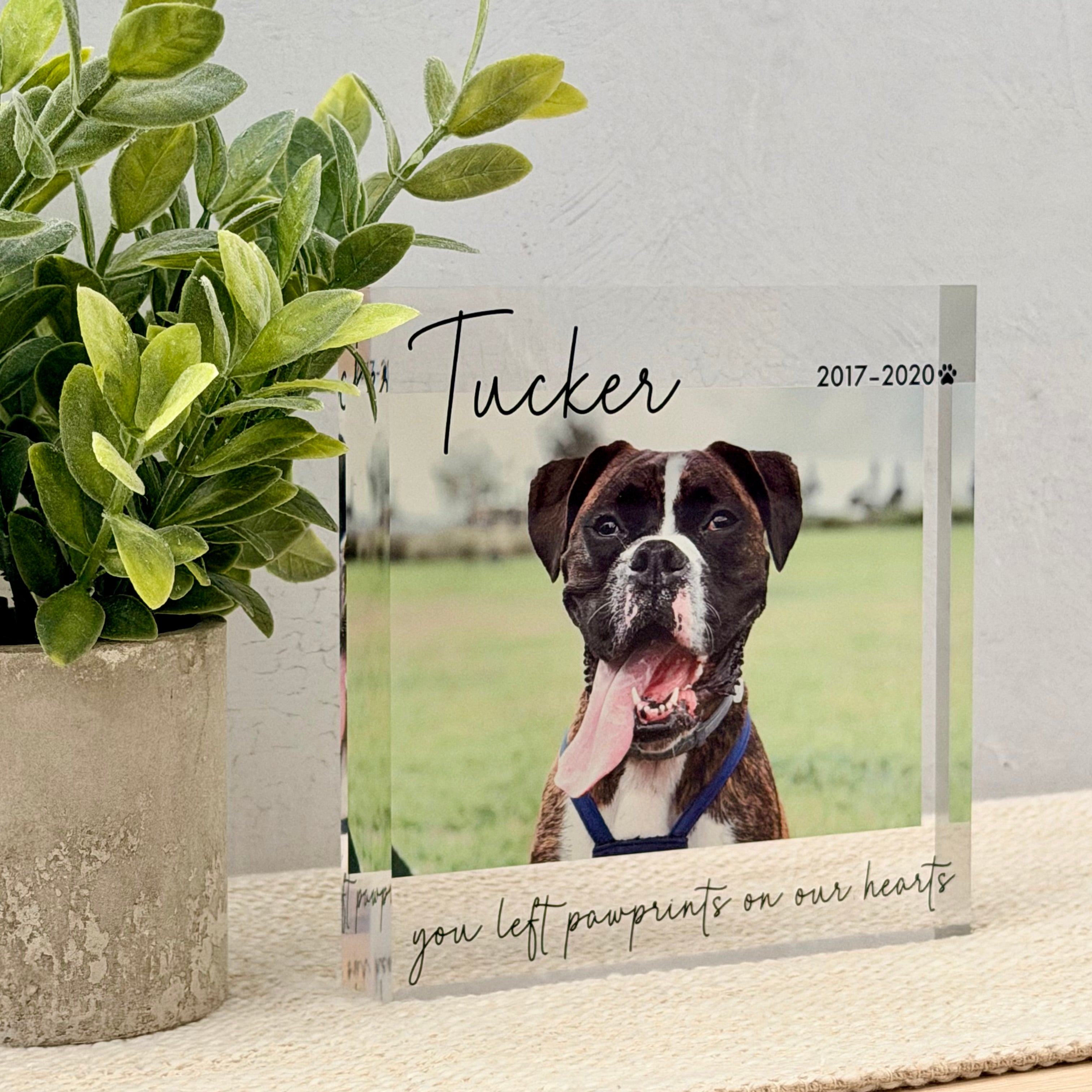 Pet Memorial Acrylic Photo Block