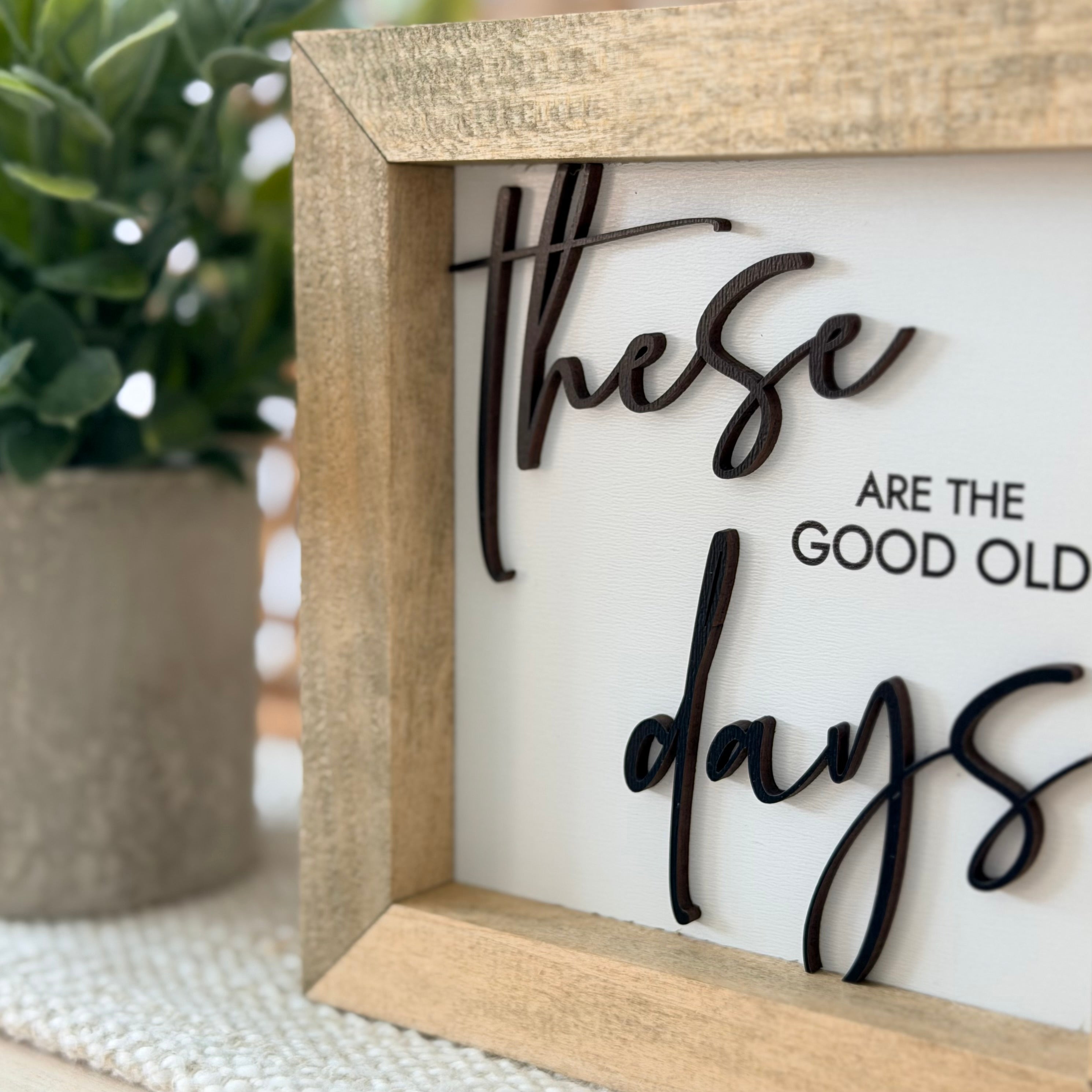 These Are the Good Old Days Wooden Framed Sign