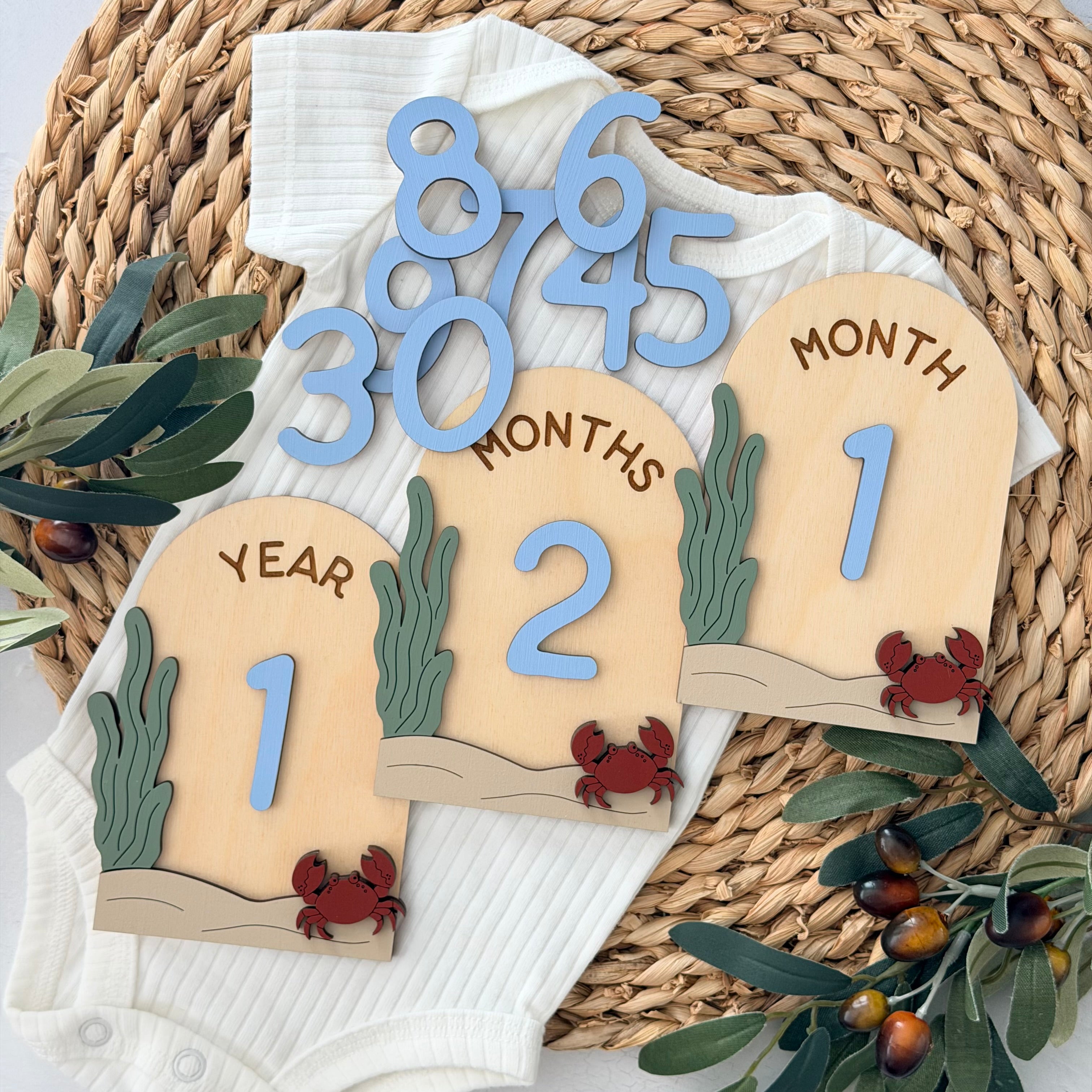Under The Sea Baby Milestone Cards