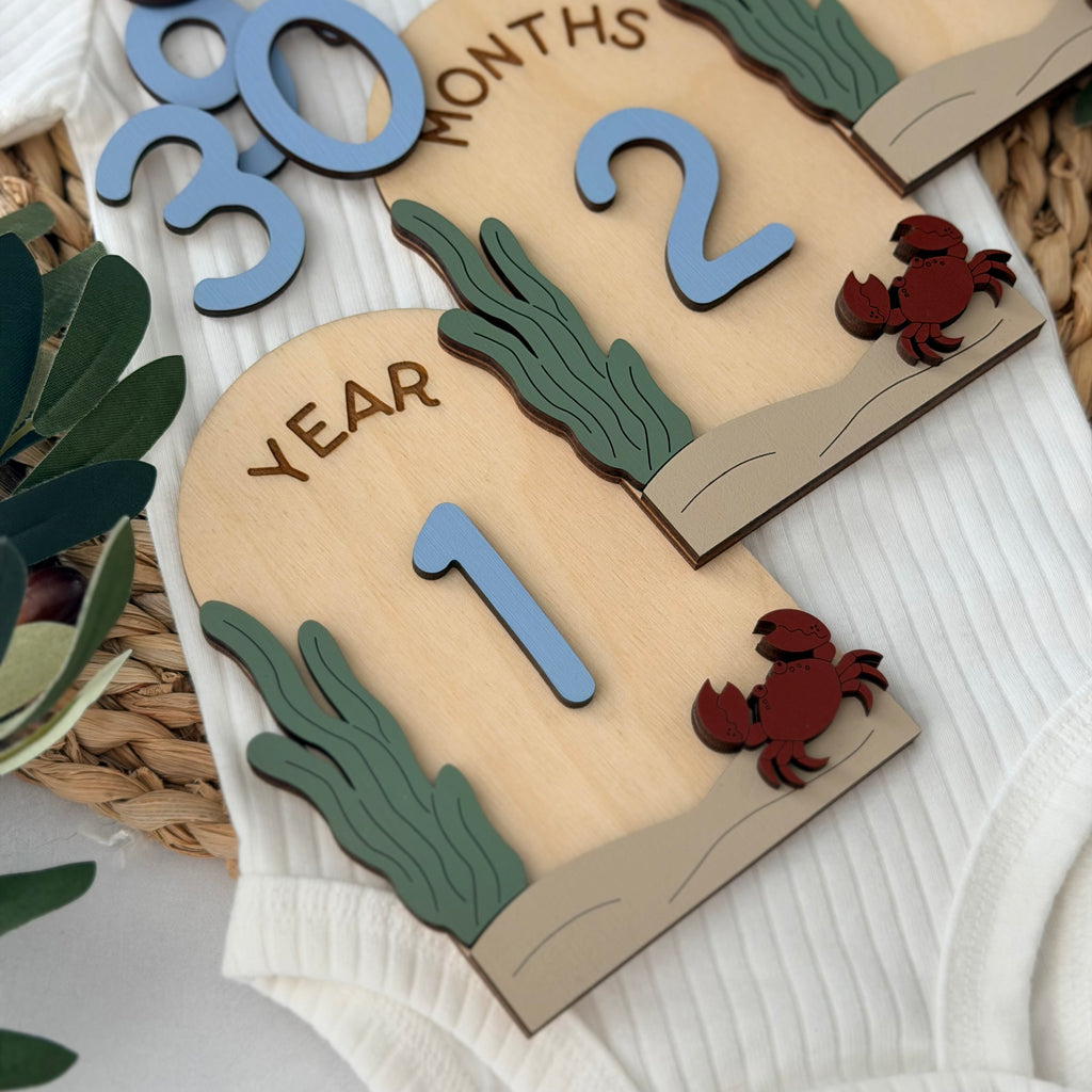 Under The Sea Baby Milestone Cards