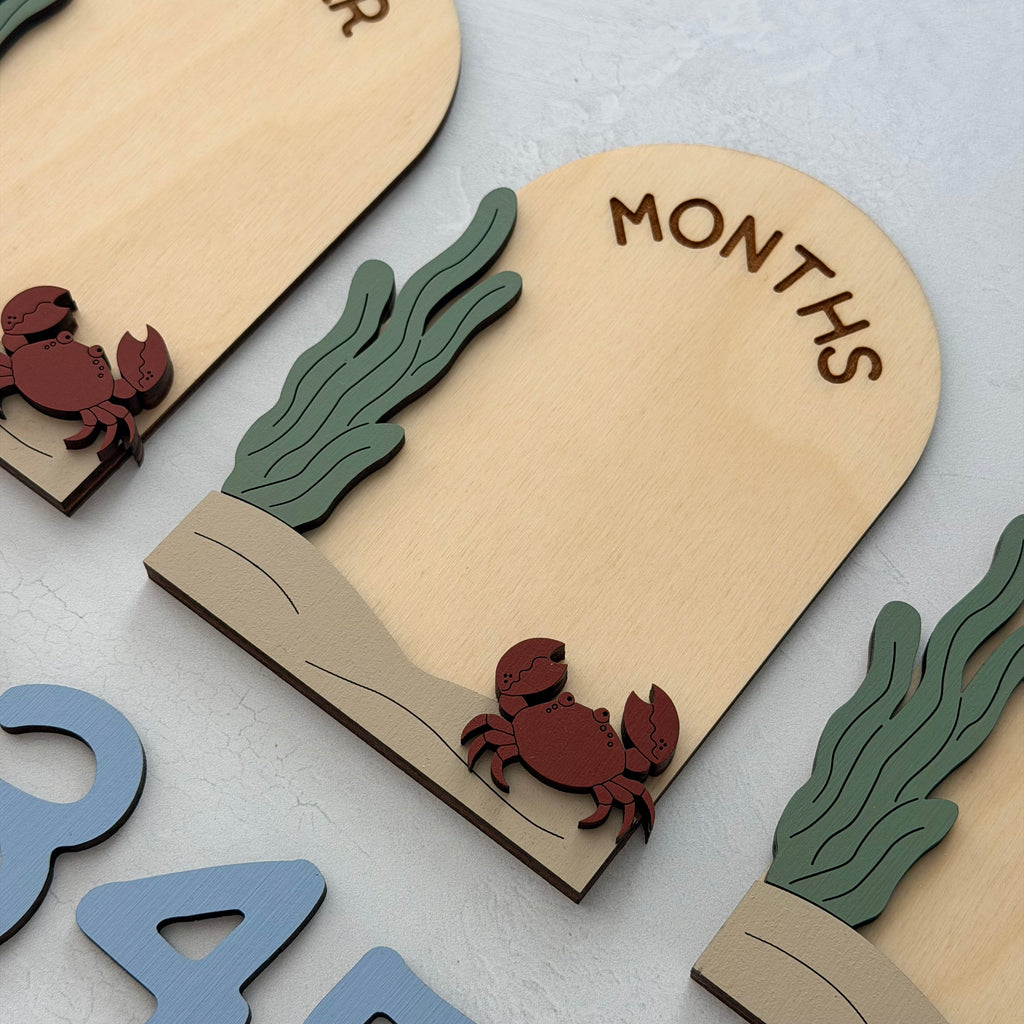 Under The Sea Baby Milestone Cards