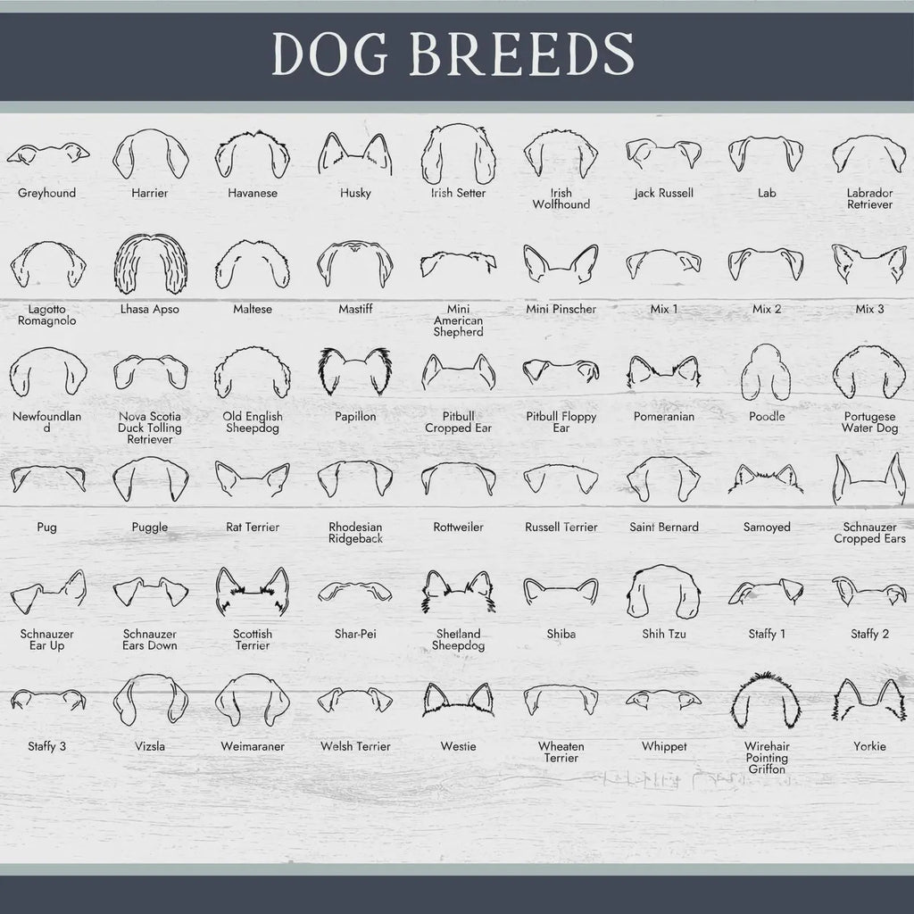 Personalized Dog Ear Silhouette Magnet