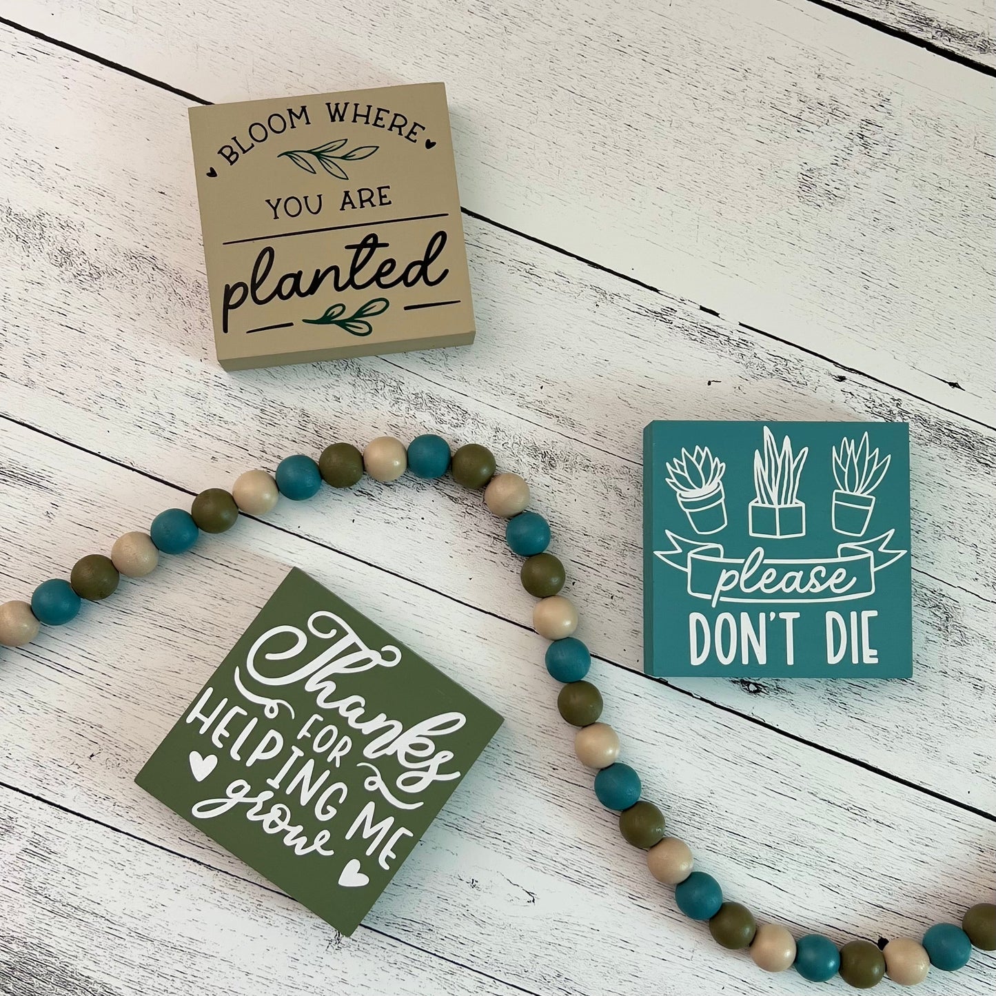 Plant/Succulent Themed Signs