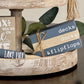 Lake House Themed Mini Wooden Books