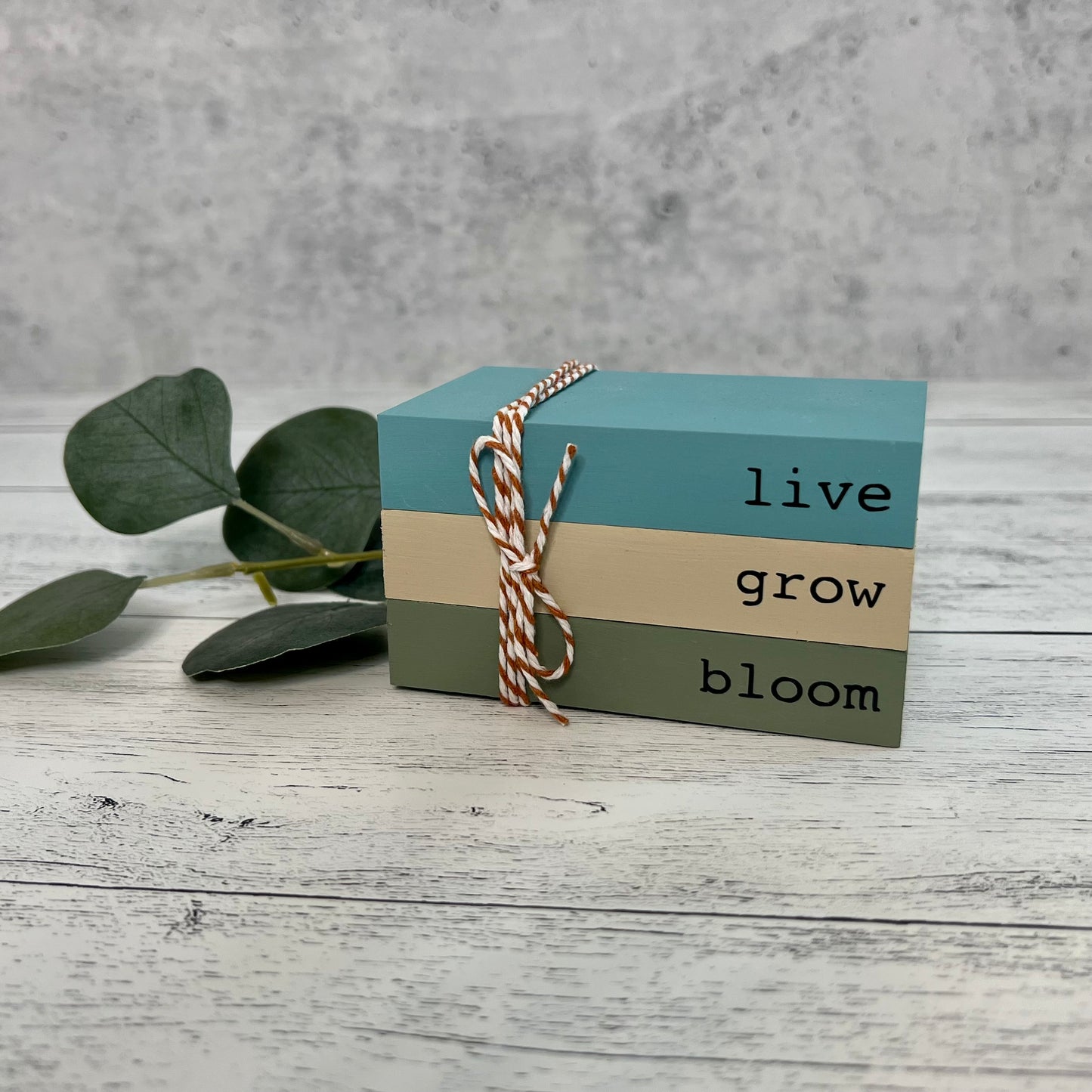 Plant/Succulent Themed Mini Wooden Books