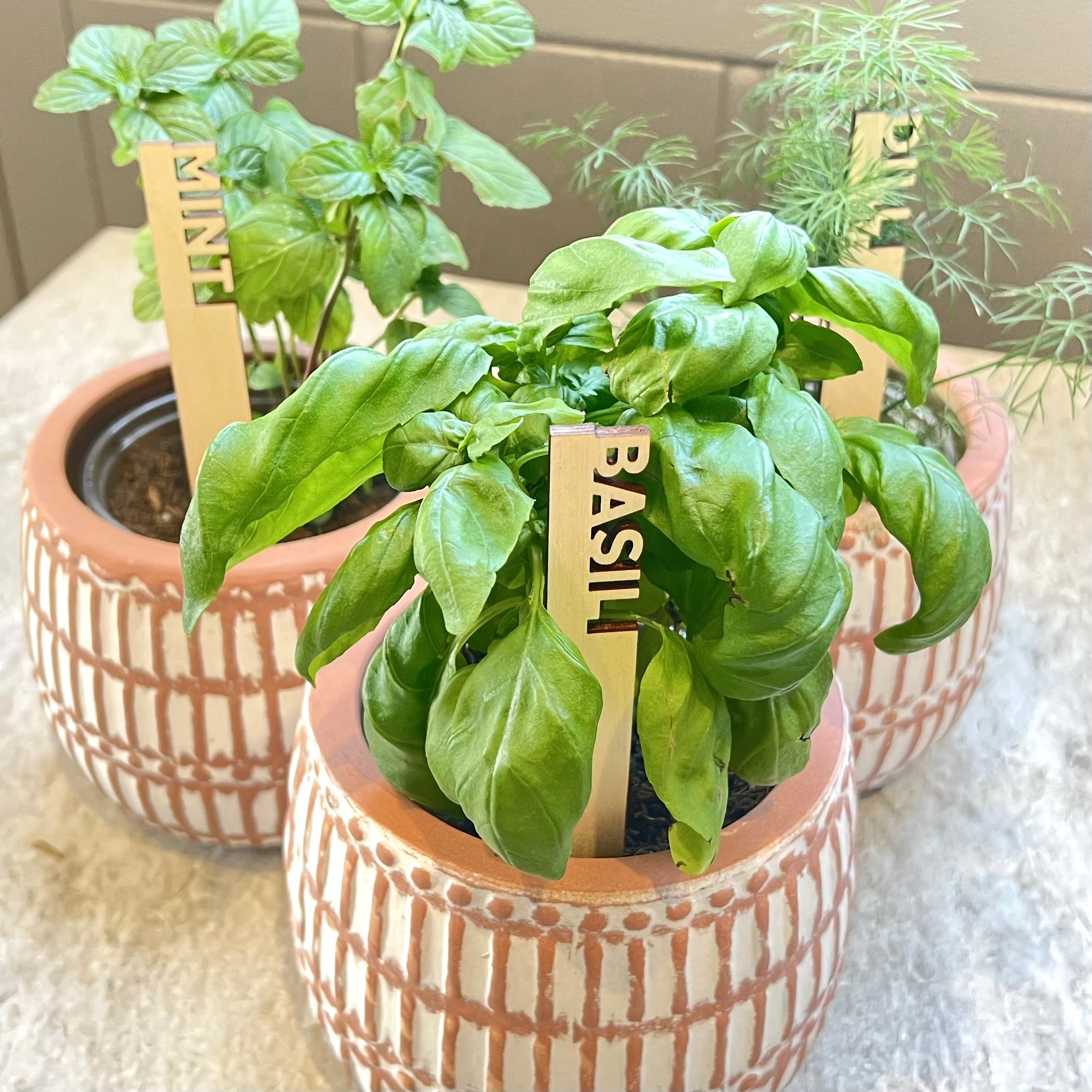 plant pot markers Garden Markers – Wintuck Home
