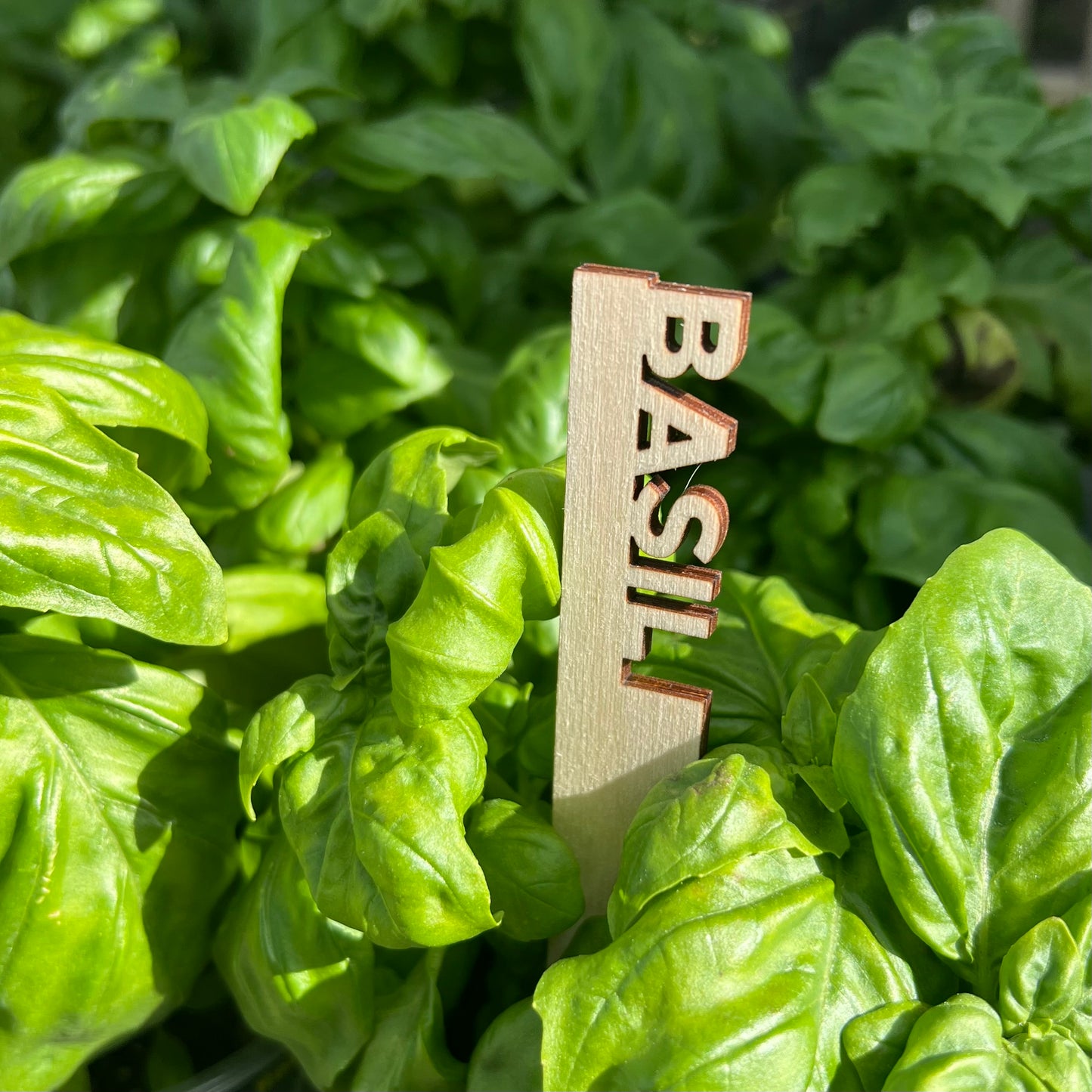 Garden Markers