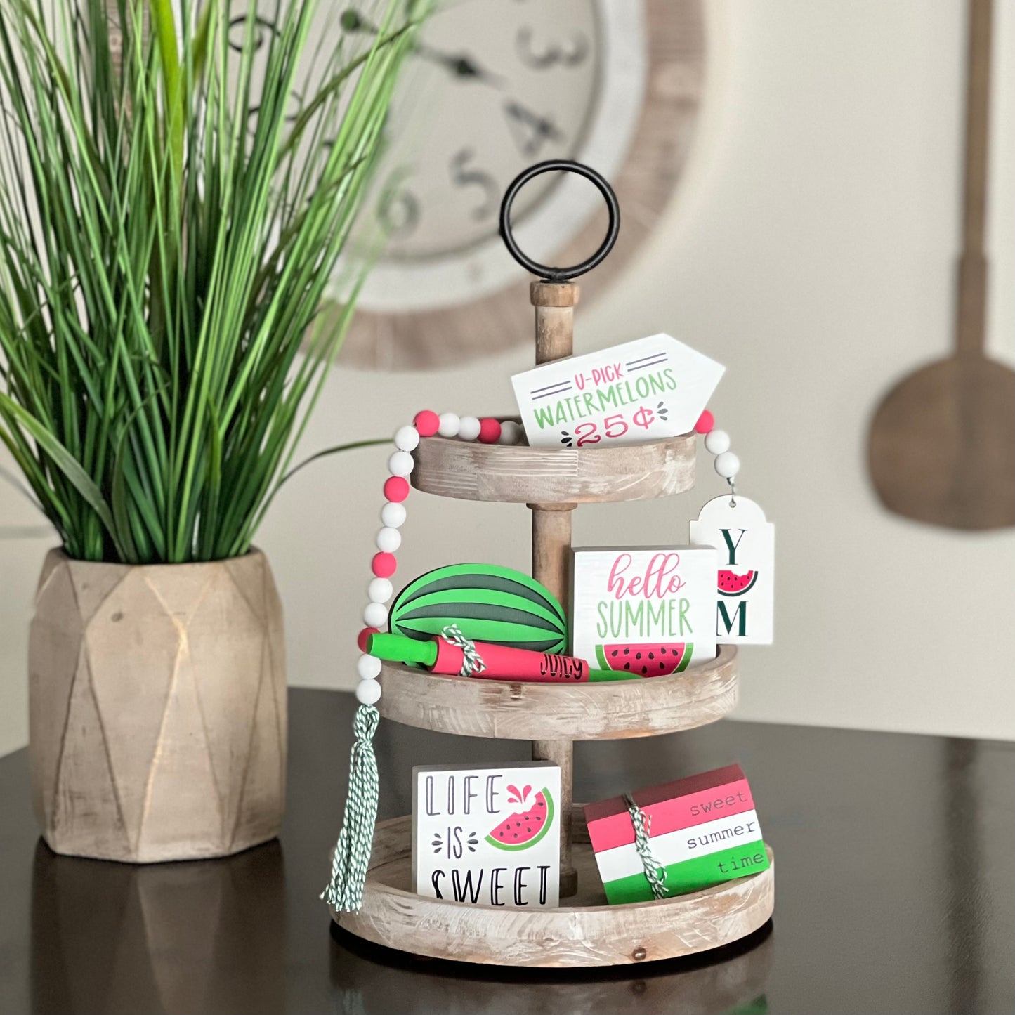 Watermelon Themed Mini Wooden Books