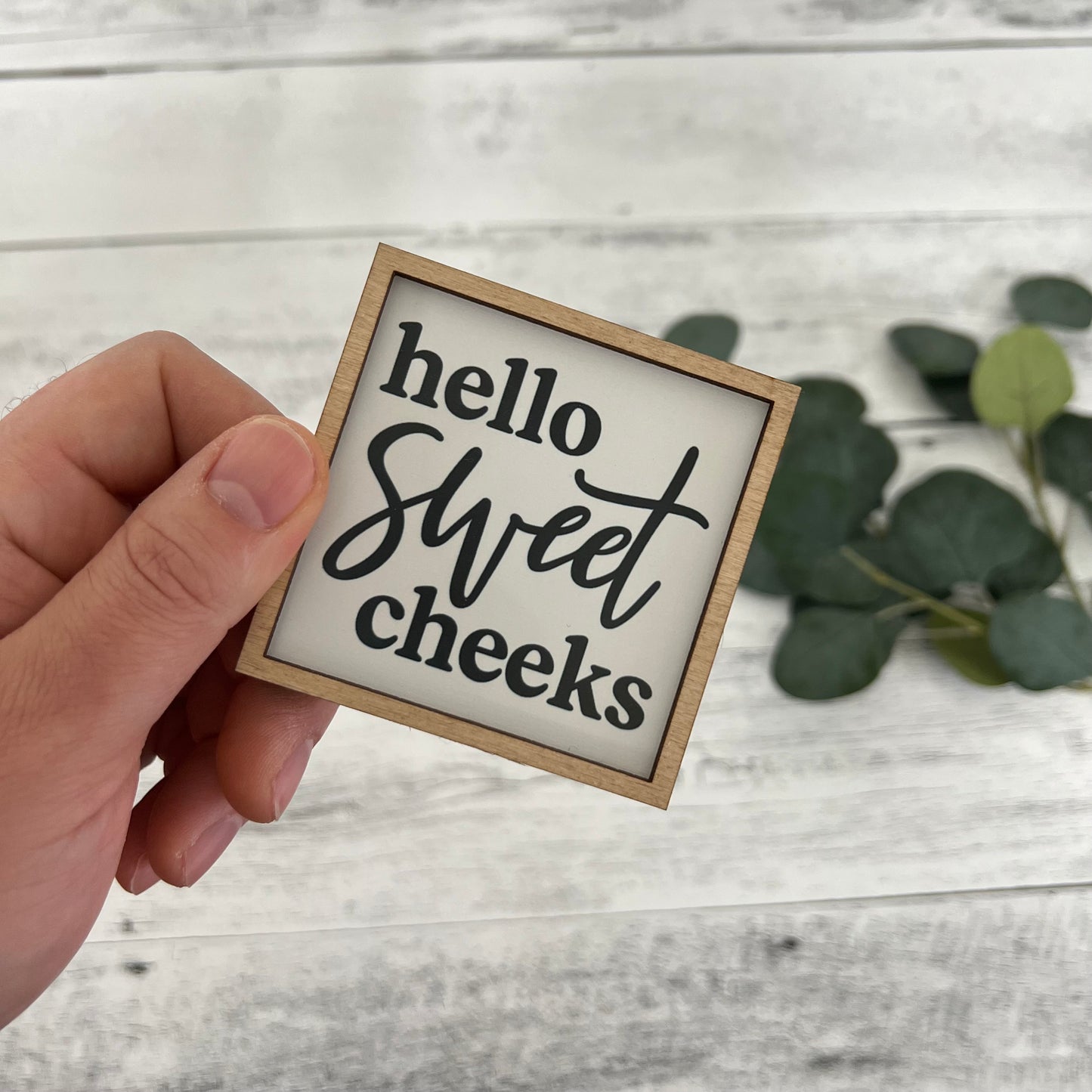 Mini Framed Bathroom Themed Sign | Hello Sweet Cheeks