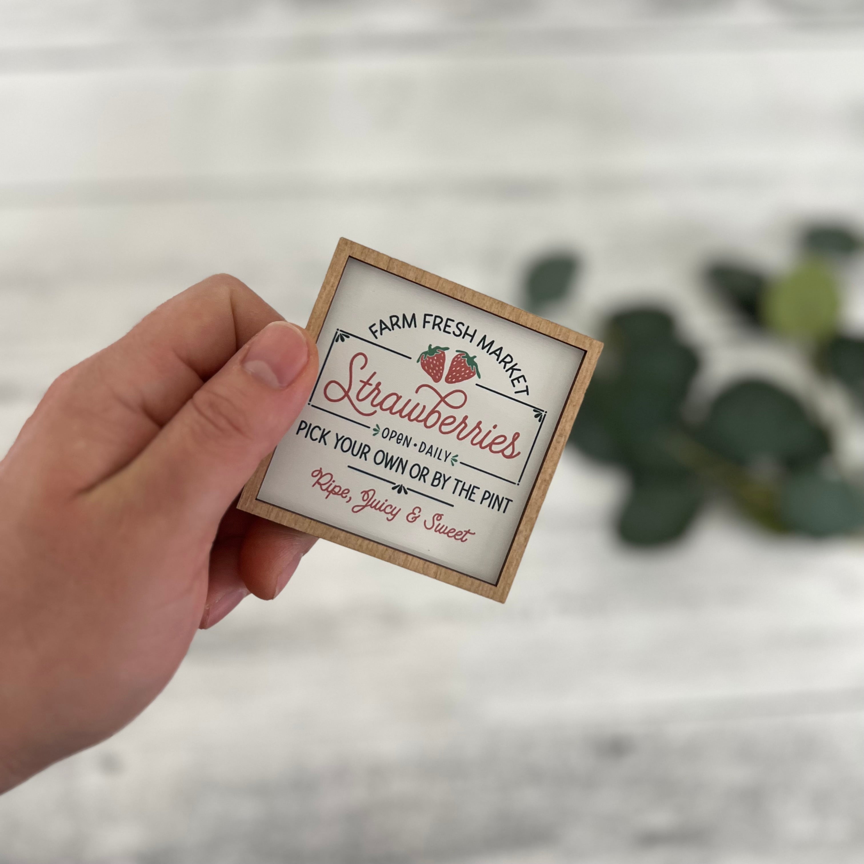 Mini Framed Farm Fresh Strawberries Sign | Strawberry Themed Sign