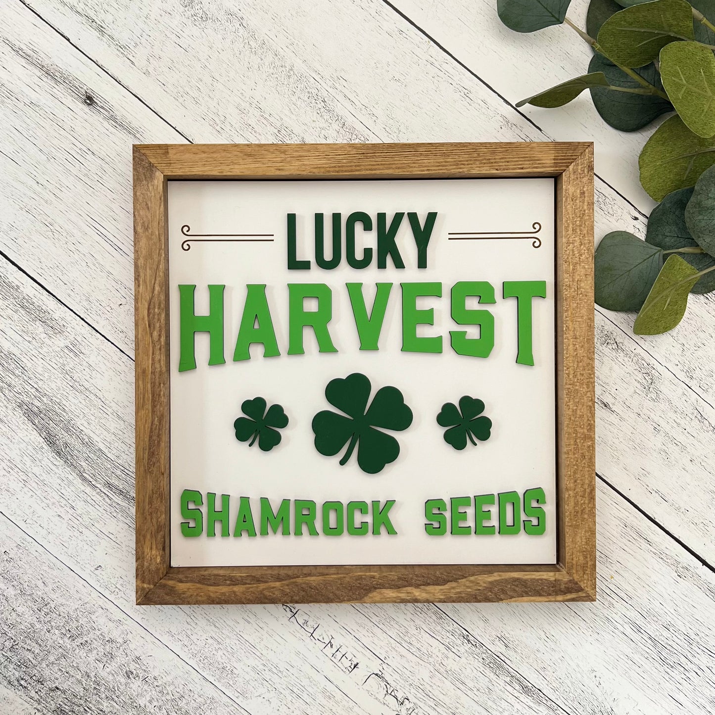 Framed St. Patrick's Day Sign | Lucky Harvest Shamrock Seeds