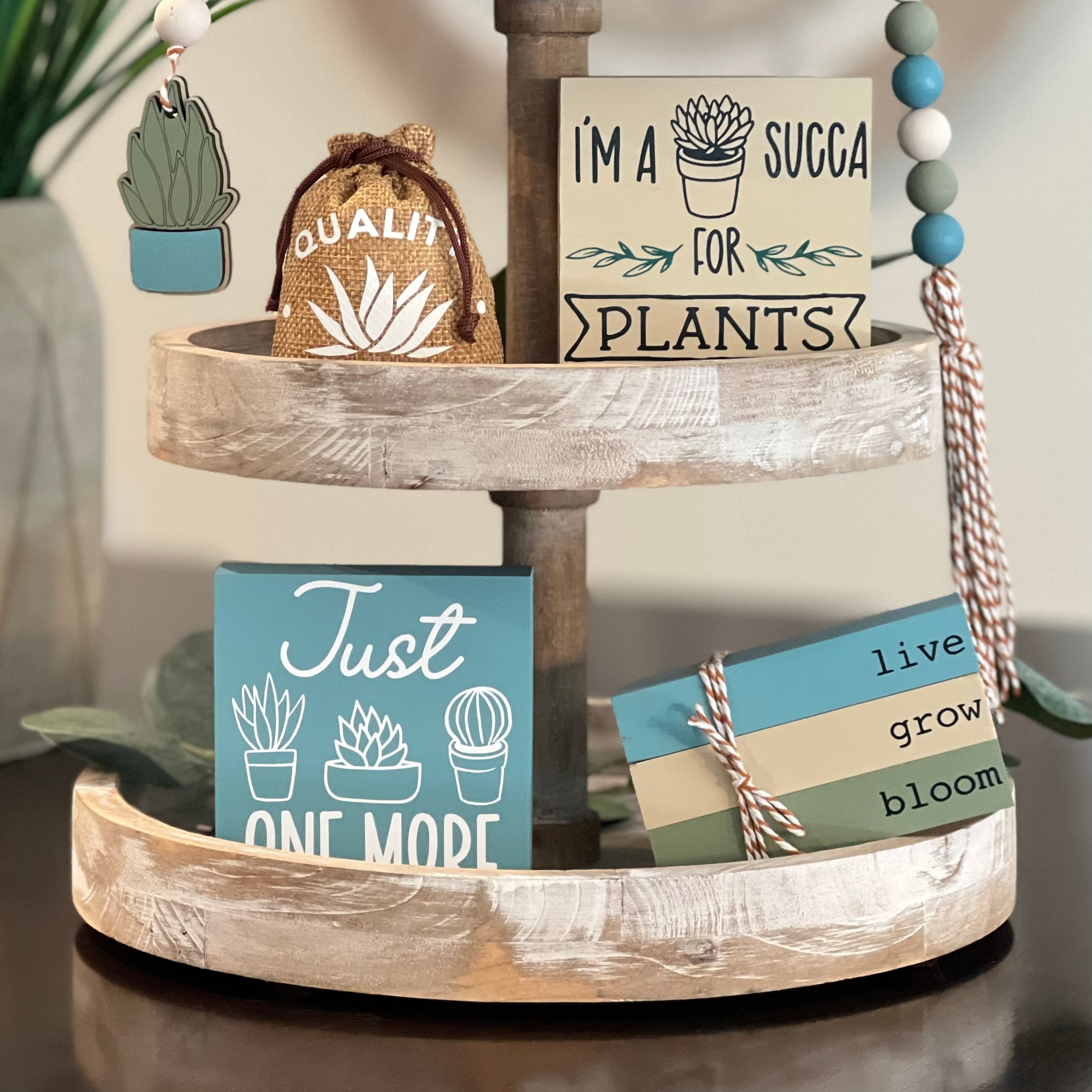 succulent plants tray Plant/Succulent Themed Tiered Tray Decor Bundle – Wintuck Home