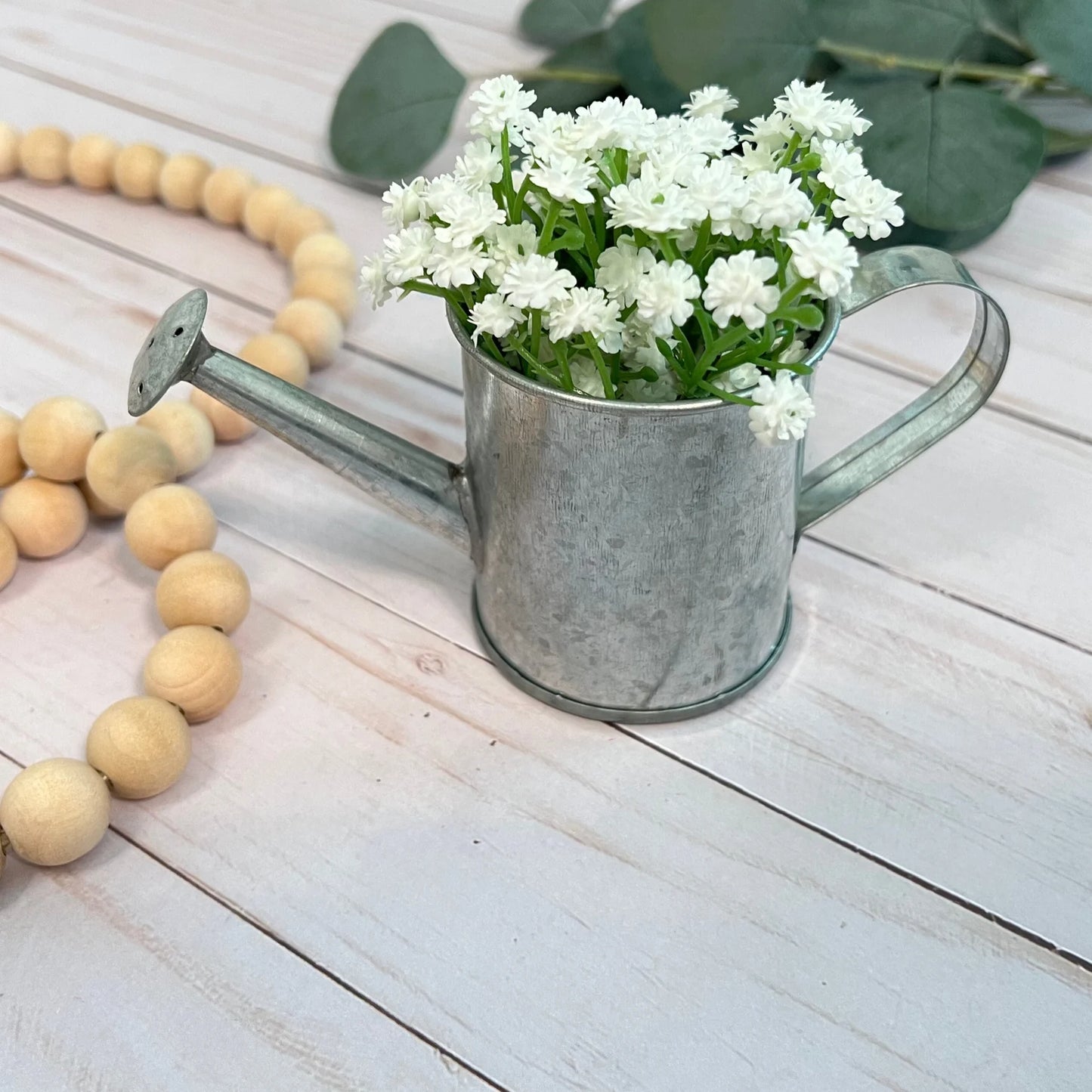 Mini Metal Watering Can
